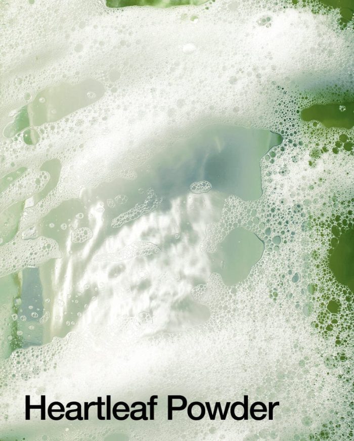 anua-heartleaf-quercetinol-pore-deep-cleansing-foam4 Anua Heartleaf Quercetinol Pore Deep Cleansing Foam - 150ml